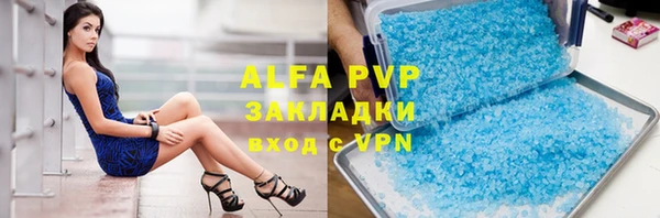 мяу мяу мука Аркадак